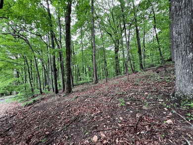 Invest now or Build Your Mountain Retreat in Bent Tree. Don't on Bent Tree Golf Course in Georgia - for sale on GolfHomes.com, golf home, golf lot