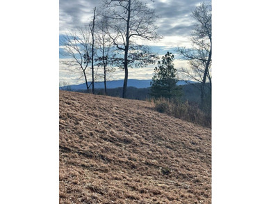 COME ENJOY LIFE AT OLD TOCCOA FARM, where People, Lifestyle and on Old Toccoa Farm Golf Club in Georgia - for sale on GolfHomes.com, golf home, golf lot