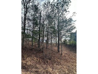 COME ENJOY LIFE AT OLD TOCCOA FARM, where People, Lifestyle and on Old Toccoa Farm Golf Club in Georgia - for sale on GolfHomes.com, golf home, golf lot