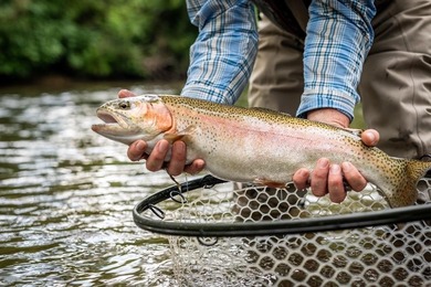 COME ENJOY LIFE AT OLD TOCCOA FARM, where People, Lifestyle and on Old Toccoa Farm Golf Club in Georgia - for sale on GolfHomes.com, golf home, golf lot