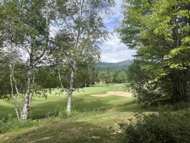 Get ready to fall in love with this charming, updated condo on Hermitage Club Golf Course in Vermont - for sale on GolfHomes.com, golf home, golf lot