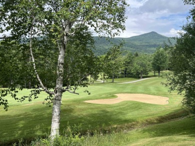 Get ready to fall in love with this charming, updated condo on Hermitage Club Golf Course in Vermont - for sale on GolfHomes.com, golf home, golf lot