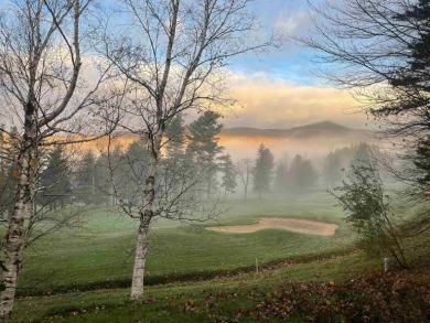 Get ready to fall in love with this charming, updated condo on Hermitage Club Golf Course in Vermont - for sale on GolfHomes.com, golf home, golf lot