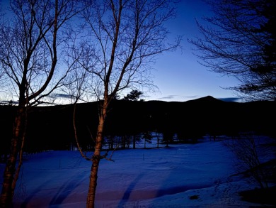 Get ready to fall in love with this charming, updated condo on Hermitage Club Golf Course in Vermont - for sale on GolfHomes.com, golf home, golf lot