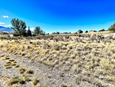 1.13 acre lot for sale in serene Spring Creek, NV 89815. Spring on Spring Creek Golf Course in Nevada - for sale on GolfHomes.com, golf home, golf lot
