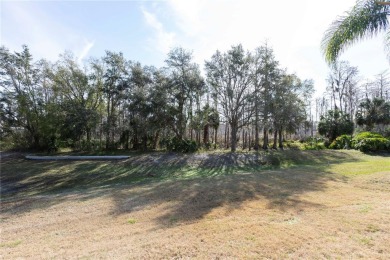 BACK ON MARKET! FINANCING FELL THROUGH! Priced to Sell! This on Timber Greens Country Club in Florida - for sale on GolfHomes.com, golf home, golf lot