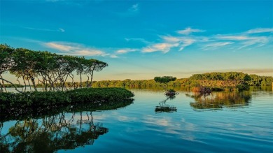 No damage from any hurricanes to the home, according to the on Longboat Key Golf Club in Florida - for sale on GolfHomes.com, golf home, golf lot