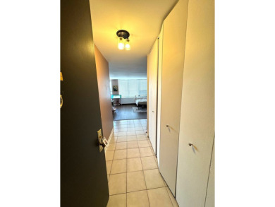 This south-facing bright 550 square foot studio has location on Sydney R. Marovitz Golf Course in Illinois - for sale on GolfHomes.com, golf home, golf lot