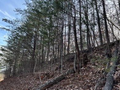 Beautifully wooded Lot located in the upscale community on Chatuge Shores Golf Course in North Carolina - for sale on GolfHomes.com, golf home, golf lot