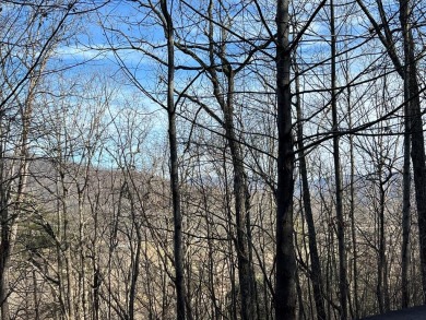 Beautifully wooded Lot located in the upscale community on Chatuge Shores Golf Course in North Carolina - for sale on GolfHomes.com, golf home, golf lot