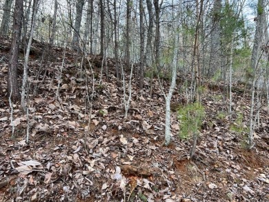 Beautifully wooded Lot located in the upscale community on Chatuge Shores Golf Course in North Carolina - for sale on GolfHomes.com, golf home, golf lot