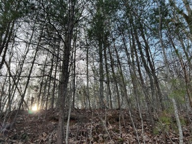Beautifully wooded Lot located in the upscale community on Chatuge Shores Golf Course in North Carolina - for sale on GolfHomes.com, golf home, golf lot