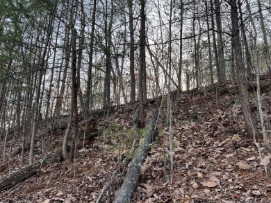 Beautifully wooded Lot located in the upscale community on Chatuge Shores Golf Course in North Carolina - for sale on GolfHomes.com, golf home, golf lot