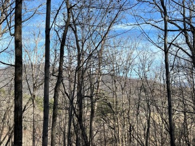 Beautifully wooded Lot located in the upscale community on Chatuge Shores Golf Course in North Carolina - for sale on GolfHomes.com, golf home, golf lot