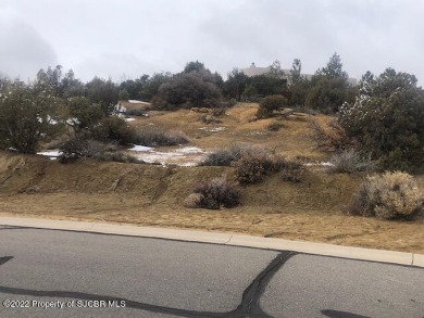 One of the best lots available in the area. Unobstructed views on San Juan Country Club in New Mexico - for sale on GolfHomes.com, golf home, golf lot