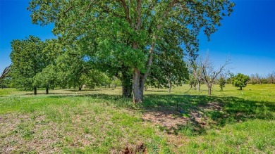1.9 Acre Premium Corner Lot with Mature Oak and Pecan Trees on Pecan Plantation Country Club in Texas - for sale on GolfHomes.com, golf home, golf lot