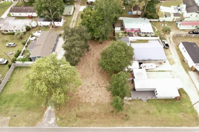 Located east of Highway 17, this is a rare opportunity to own on Wachesaw Plantation Club in South Carolina - for sale on GolfHomes.com, golf home, golf lot