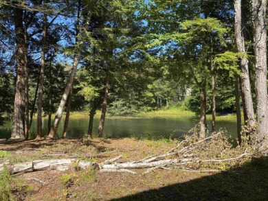 LUDLOW:  Minutes from Okemo Mountain Resort and Fox Run Golf on Okemo Mountain Resort and Golf Club in Vermont - for sale on GolfHomes.com, golf home, golf lot