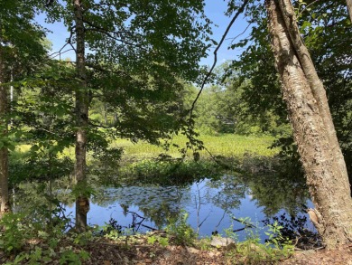 LUDLOW:  Minutes from Okemo Mountain Resort and Fox Run Golf on Okemo Mountain Resort and Golf Club in Vermont - for sale on GolfHomes.com, golf home, golf lot