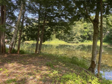 LUDLOW:  Minutes from Okemo Mountain Resort and Fox Run Golf on Okemo Mountain Resort and Golf Club in Vermont - for sale on GolfHomes.com, golf home, golf lot