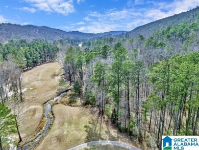 Overlooking the beautiful Limestone Springs golf course, this on Limestone Springs Golf Club in Alabama - for sale on GolfHomes.com, golf home, golf lot