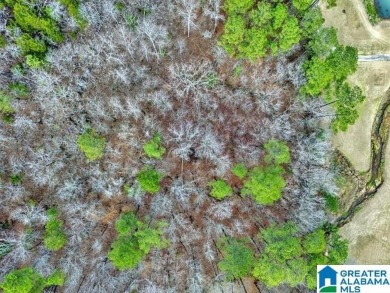 Overlooking the beautiful Limestone Springs golf course, this on Limestone Springs Golf Club in Alabama - for sale on GolfHomes.com, golf home, golf lot
