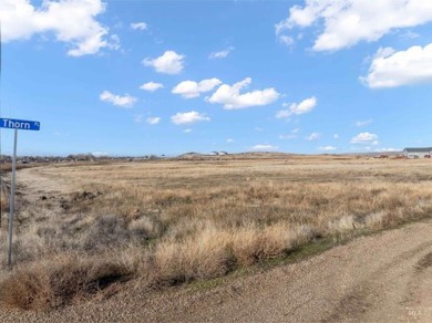 Are you ready to build your own dream home? Your search is over! on Desert Canyon Golf Course in Idaho - for sale on GolfHomes.com, golf home, golf lot