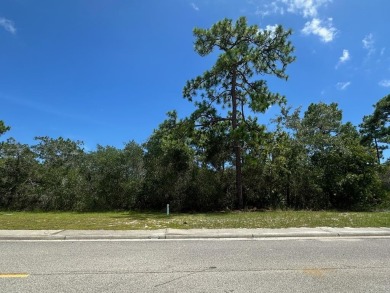 Prime vacant lot in St. James Golf & Pickleball Resort! Discover on St. James Bay in Florida - for sale on GolfHomes.com, golf home, golf lot