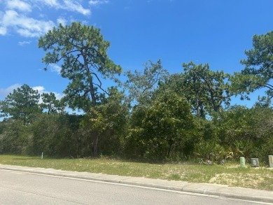 Prime vacant lot in St. James Golf & Pickleball Resort! Discover on St. James Bay in Florida - for sale on GolfHomes.com, golf home, golf lot
