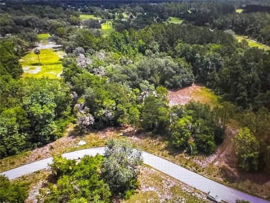 A quality Building Lot almost 1/4 acre for your new home. Home on The Oaks Golf Club in Florida - for sale on GolfHomes.com, golf home, golf lot