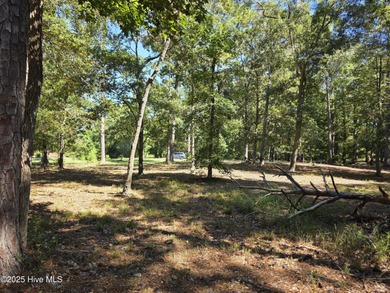 Rivers Edge - Custom Home Opportunity in Shallotte, NC Welcome on Rivers Edge Golf Club in North Carolina - for sale on GolfHomes.com, golf home, golf lot