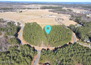 Who thought it was possible to own 11+ acre lot in a gated and on Sound Golf Links at Albemarle Plantation in North Carolina - for sale on GolfHomes.com, golf home, golf lot