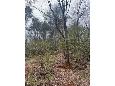 Almost a one acre lot to build your dream home. Big Canoe offers on Big Canoe Golf Club - Cherokee in Georgia - for sale on GolfHomes.com, golf home, golf lot