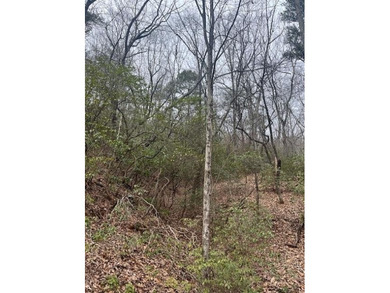 Almost a one acre lot to build your dream home. Big Canoe offers on Big Canoe Golf Club - Cherokee in Georgia - for sale on GolfHomes.com, golf home, golf lot
