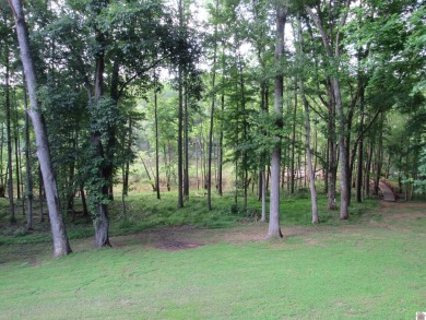 This inviting Lake Barkley Waterfront home with an easy walk to on Boots Randolph Golf Course in Kentucky - for sale on GolfHomes.com, golf home, golf lot