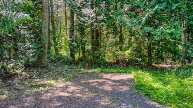 Discover the perfect canvas for your dream home on this on Point Roberts Golf and Country Club in Washington - for sale on GolfHomes.com, golf home, golf lot