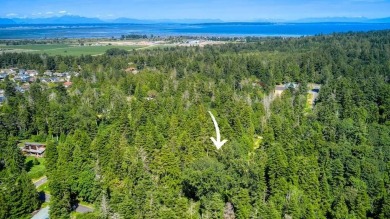 Discover the perfect canvas for your dream home on this on Point Roberts Golf and Country Club in Washington - for sale on GolfHomes.com, golf home, golf lot