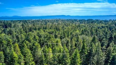 Discover the perfect canvas for your dream home on this on Point Roberts Golf and Country Club in Washington - for sale on GolfHomes.com, golf home, golf lot