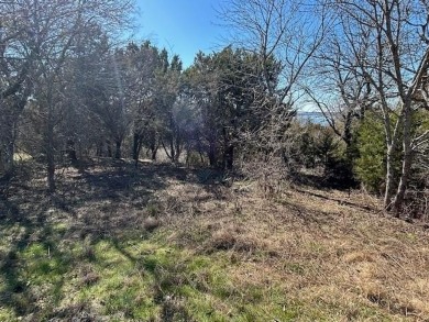 Great Lot with distant water view, partially cleared, backs up on White Bluff Resort - Old Course in Texas - for sale on GolfHomes.com, golf home, golf lot