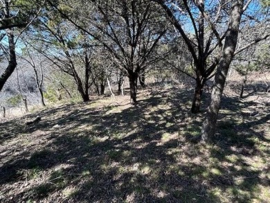 Great Lot with distant water view, partially cleared, backs up on White Bluff Resort - Old Course in Texas - for sale on GolfHomes.com, golf home, golf lot