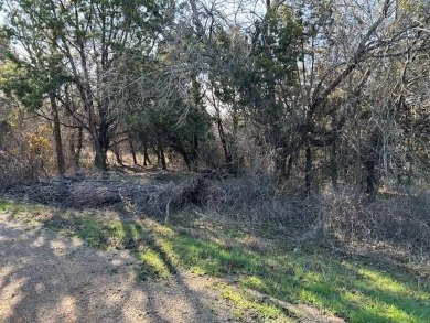 Great Lot with distant water view, partially cleared, backs up on White Bluff Resort - Old Course in Texas - for sale on GolfHomes.com, golf home, golf lot