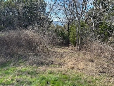 Great Lot with distant water view, partially cleared, backs up on White Bluff Resort - Old Course in Texas - for sale on GolfHomes.com, golf home, golf lot