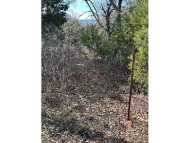 Great Lot with distant water view, partially cleared, backs up on White Bluff Resort - Old Course in Texas - for sale on GolfHomes.com, golf home, golf lot