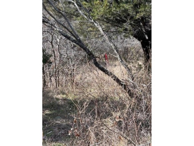 Great Lot with distant water view, partially cleared, backs up on White Bluff Resort - Old Course in Texas - for sale on GolfHomes.com, golf home, golf lot