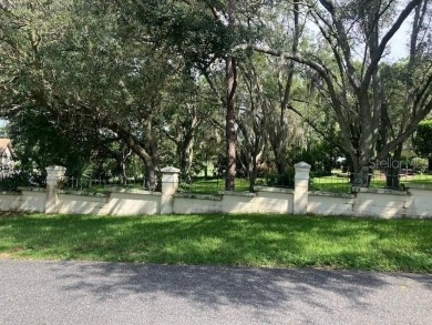 Buildable Lot, NO HOA, Majestical Mature Trees, On the Golf on Mission Inn Resort and Club in Florida - for sale on GolfHomes.com, golf home, golf lot