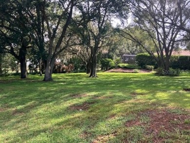 Buildable Lot, NO HOA, Majestical Mature Trees, On the Golf on Mission Inn Resort and Club in Florida - for sale on GolfHomes.com, golf home, golf lot