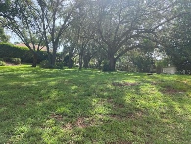 Buildable Lot, NO HOA, Majestical Mature Trees, On the Golf on Mission Inn Resort and Club in Florida - for sale on GolfHomes.com, golf home, golf lot