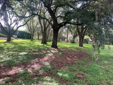 Buildable Lot, NO HOA, Majestical Mature Trees, On the Golf on Mission Inn Resort and Club in Florida - for sale on GolfHomes.com, golf home, golf lot