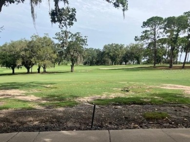 Buildable Lot, NO HOA, Majestical Mature Trees, On the Golf on Mission Inn Resort and Club in Florida - for sale on GolfHomes.com, golf home, golf lot
