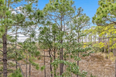 Located within the popular Sandestin Golf and Beach Resort, this on Sandestin Golf and Beach Resort - Raven in Florida - for sale on GolfHomes.com, golf home, golf lot